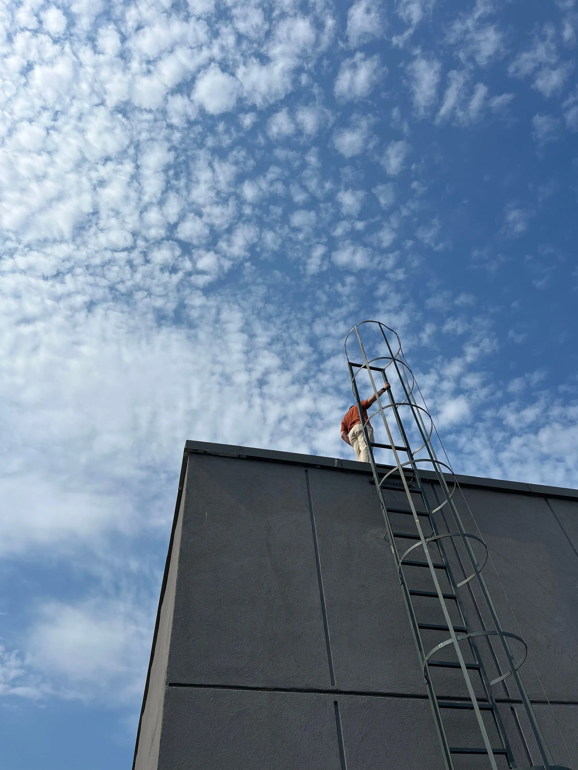 A ladder reaching up to the edge of a roof